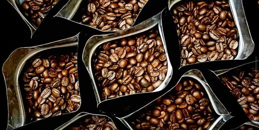 Single Origin Favorites Sample Pack